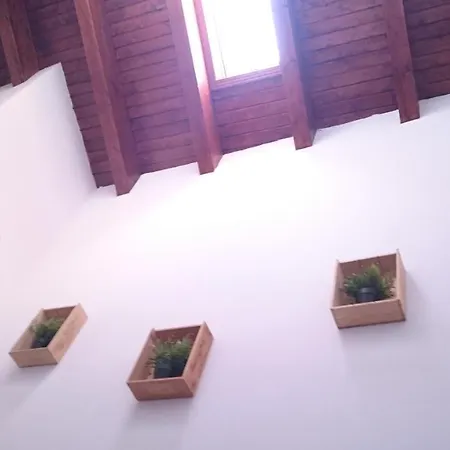 Pinoneras 木屋